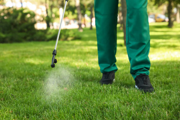 Best Commercial Pest Control Services  in Harbison Nyon, CA