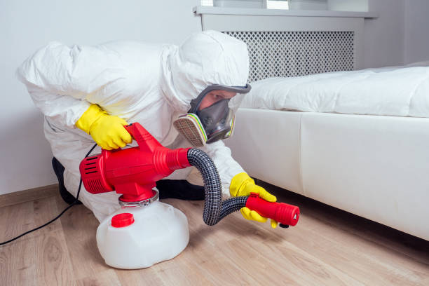 Best Pest Inspection Near Me  in Harbison Nyon, CA