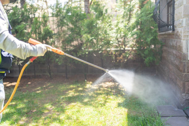 Best Affordable Pest Control Services  in Harbison Nyon, CA