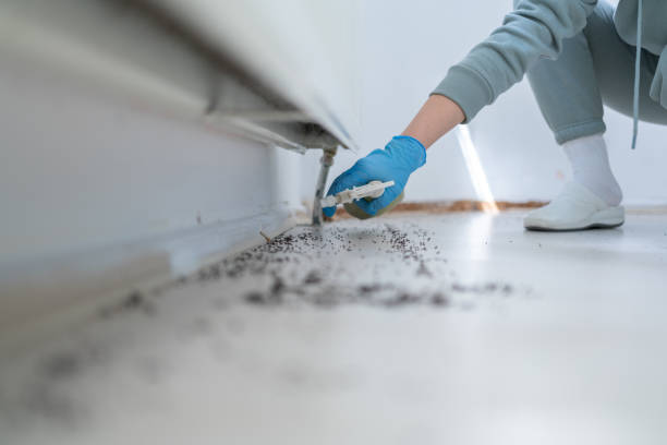 Harbison Canyon, CA Pest Control Company